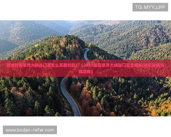 大型体育赛事预热避坑指南防骗观赛攻略